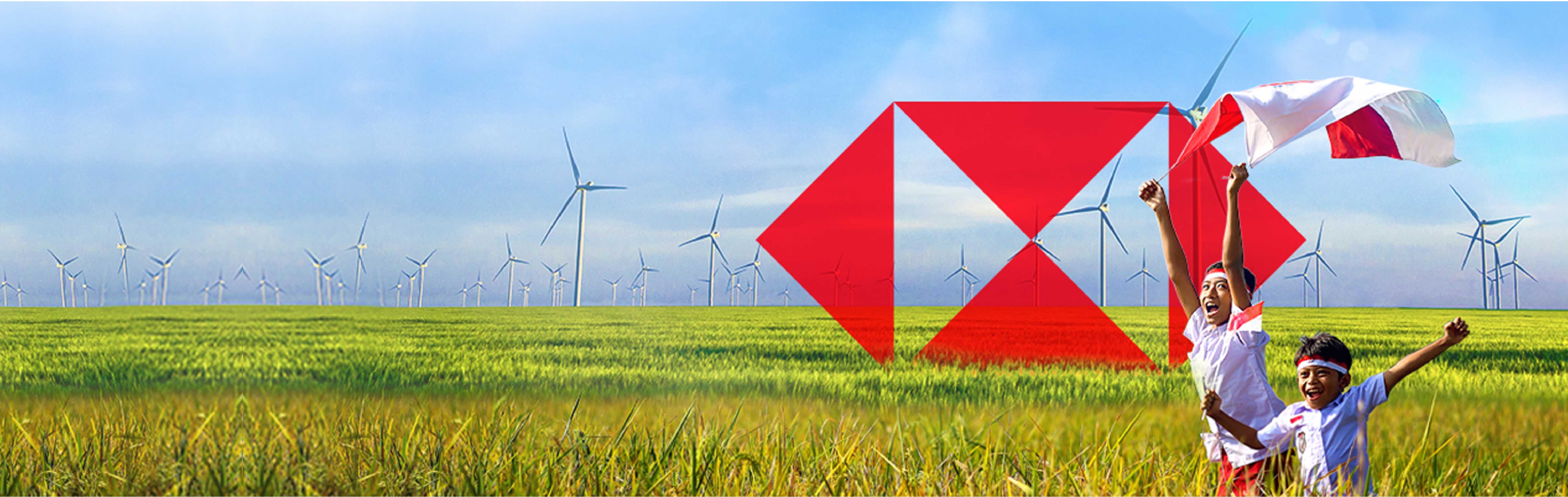 HSBC Summit