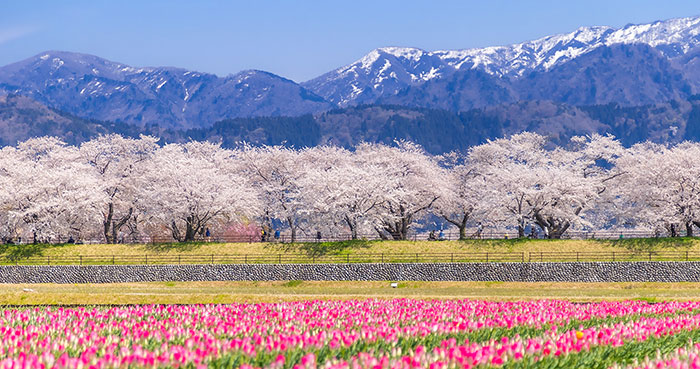 Toyama